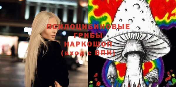 ECSTASY Михайлов