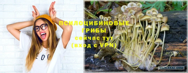 стаф Наволоки