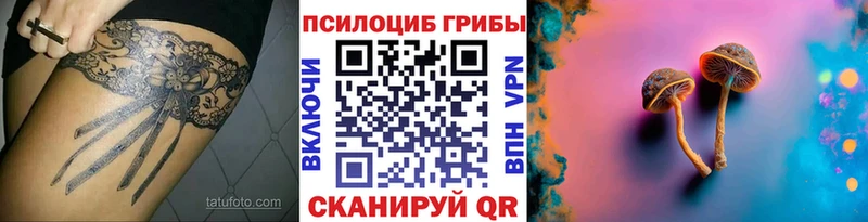 купить  сайты  Райчихинск  Псилоцибиновые грибы мухоморы 